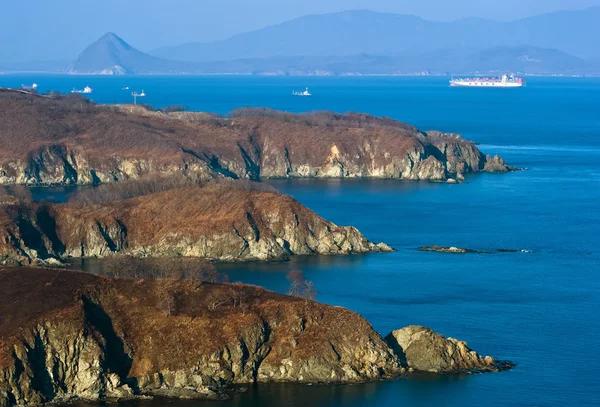 Best Dallas Trucking Companies for Safe and Fast Delivery