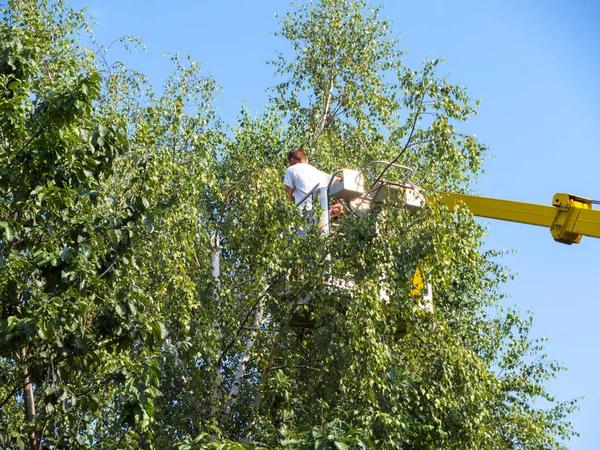 Licensed and Insured HVAC Technicians Serving Augusta