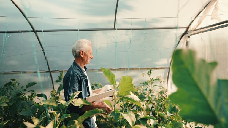 Nurturing Your Mind&rsquo;s Garden: A Practical Approach