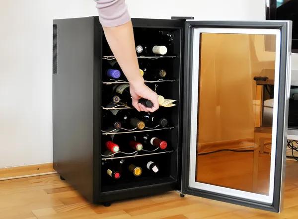 Top Wine Cooler Features Every Wine Lover Needs